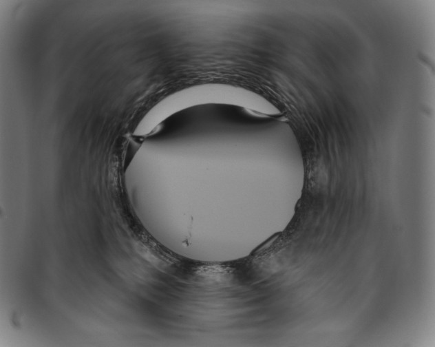 X0000096490231200802211245