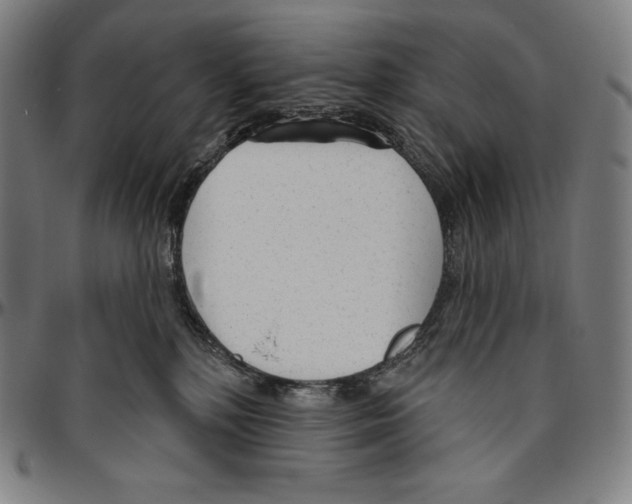 X0000096490232200802211245