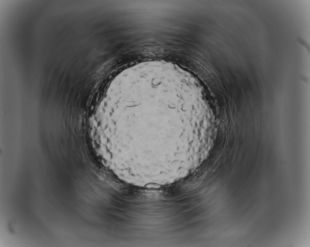 X0000096490233200802211245