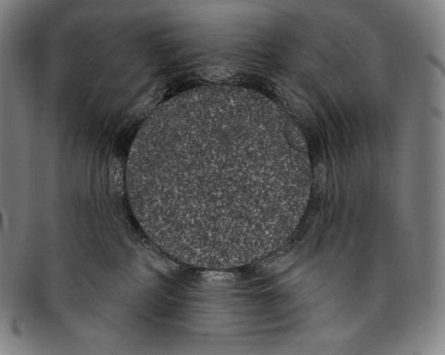 X0000096490234200802211245