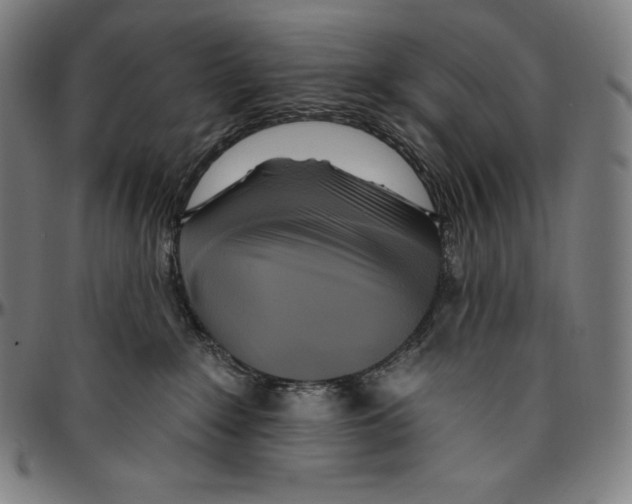 X0000096490235200802211245