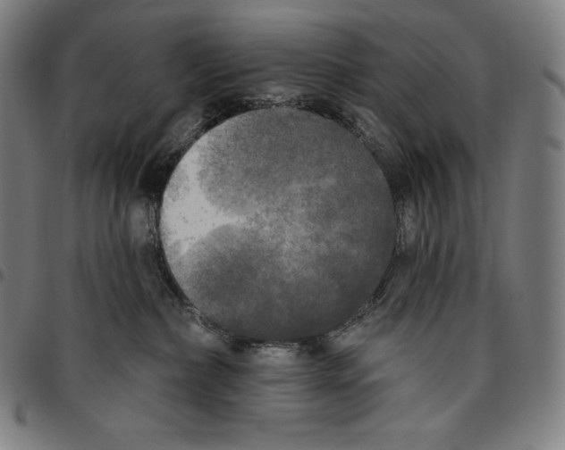 X0000096490236200802211245