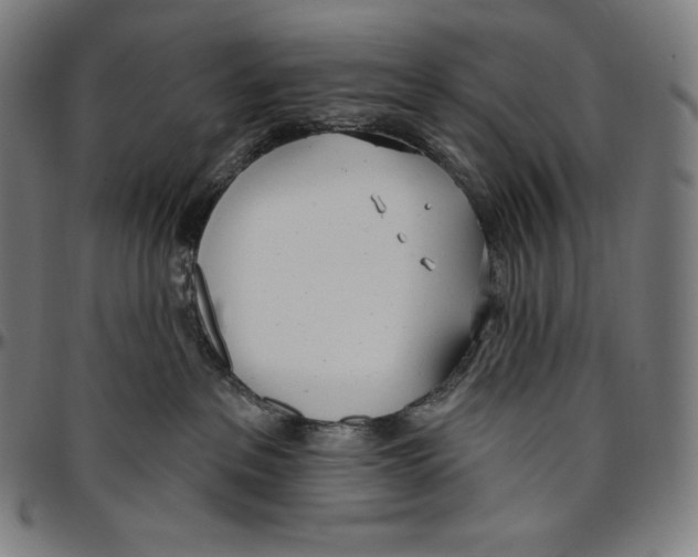 X0000096490237200802211245