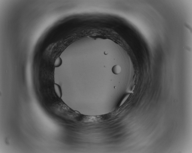 X0000096490239200802211245