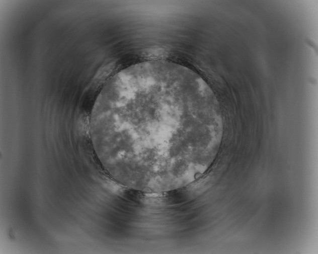 X0000096490240200802211245