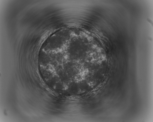 X0000096490241200802211244