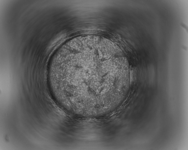 X0000096490243200802211244