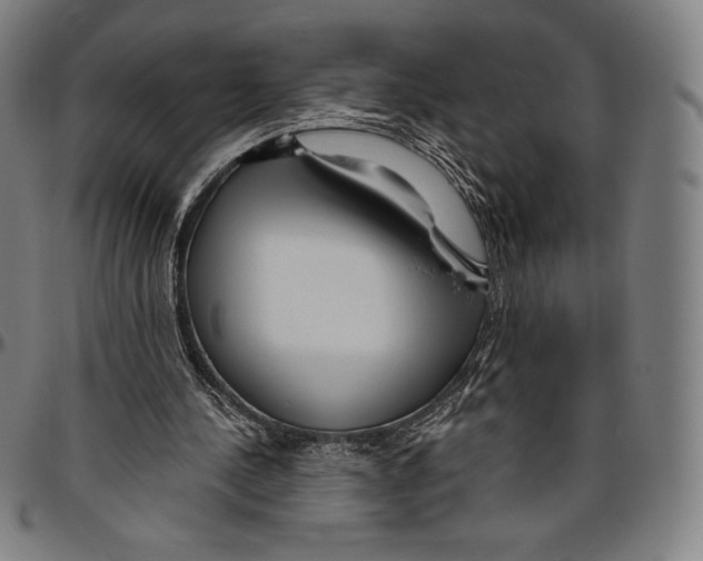 X0000096490244200802211244