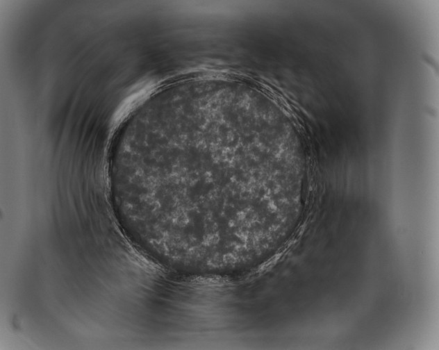 X0000096490245200802211244