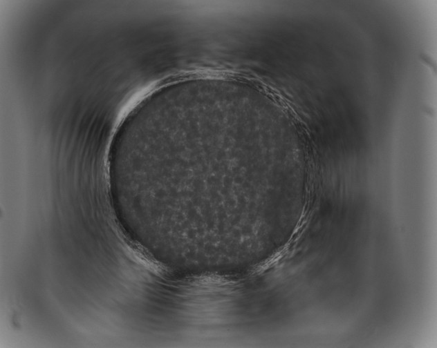 X0000096490246200802211244