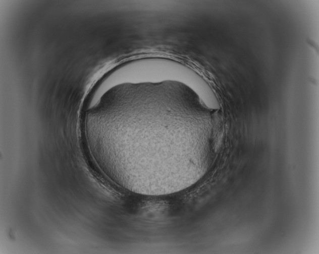 X0000096490248200802211244