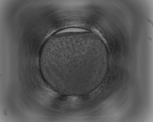 X0000096490249200802211244