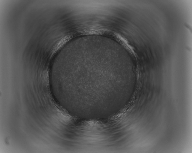 X0000096490250200802211244