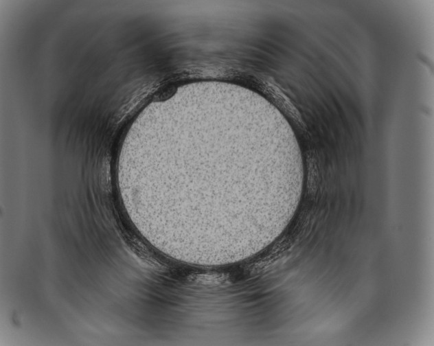 X0000096490251200802211244