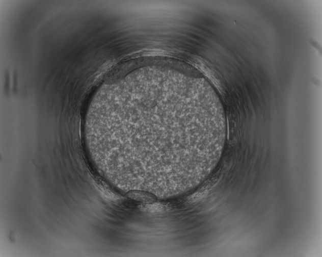 X0000096490253200802211244