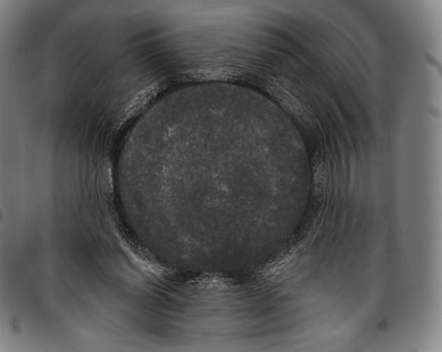 X0000096490254200802211244