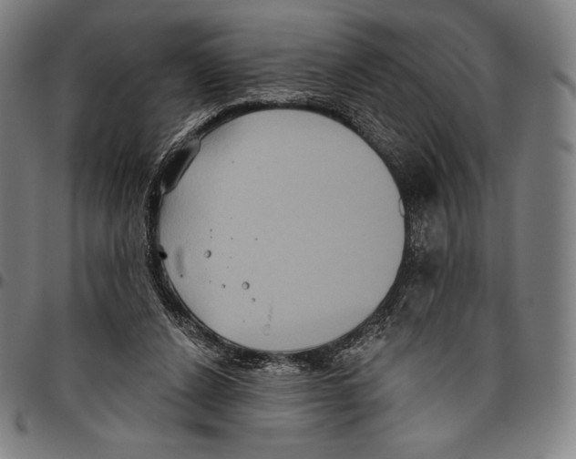 X0000096490256200802211244