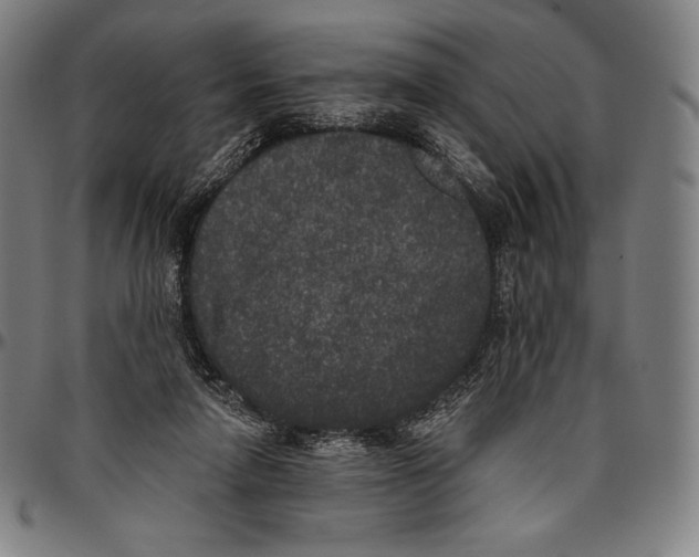 X0000096490258200802211244