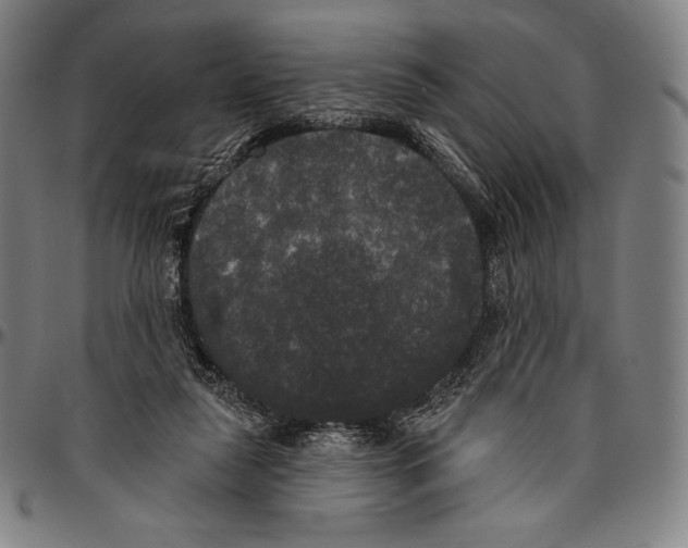 X0000096490259200802211244