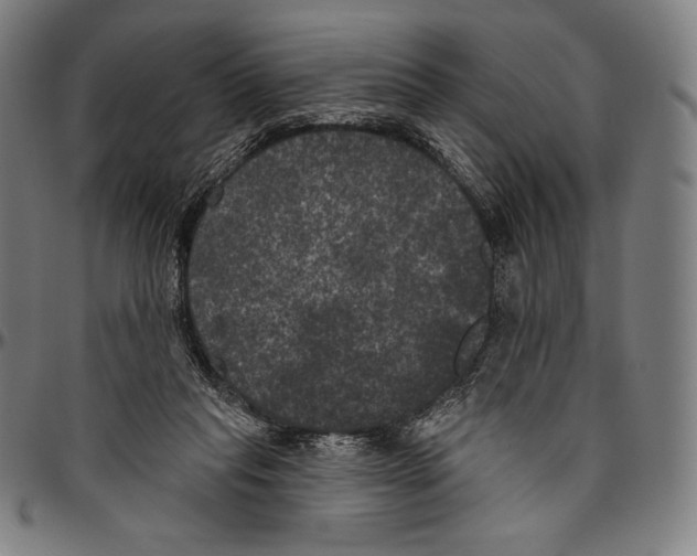 X0000096490261200802211244