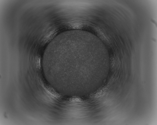 X0000096490262200802211244