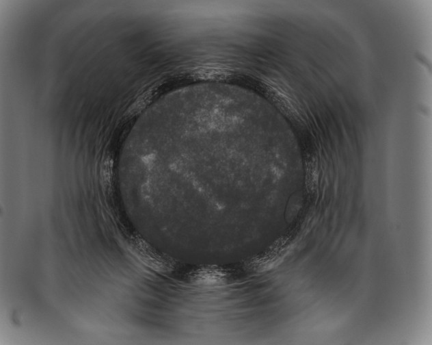 X0000096490263200802211244