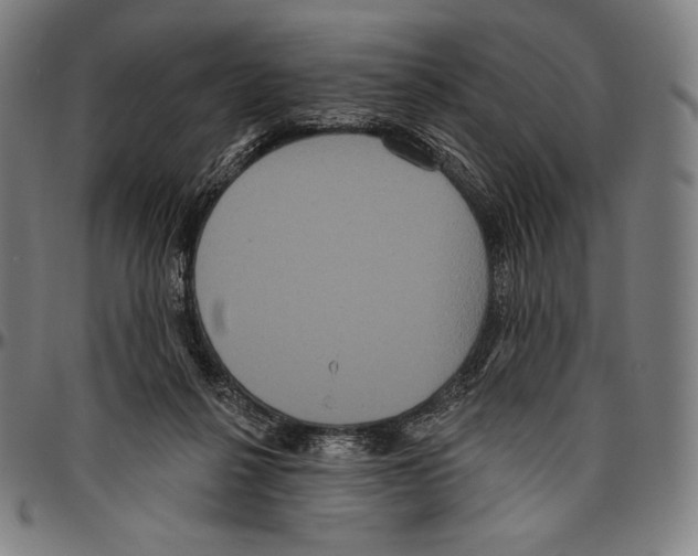 X0000096490264200802211244