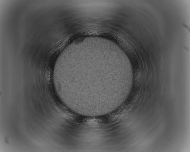 X0000096490268200802211245