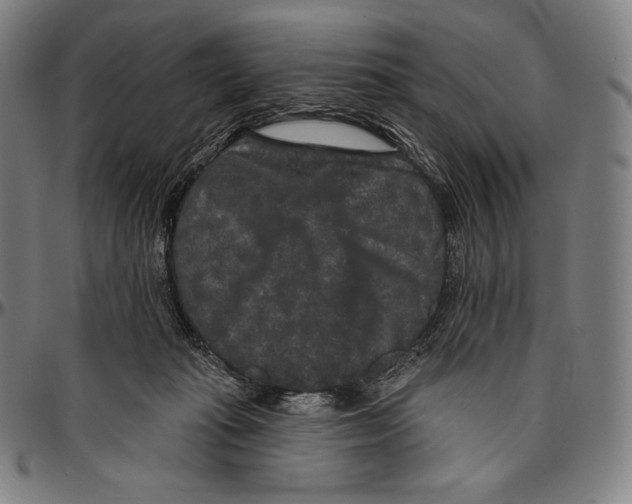 X0000096490269200802211245