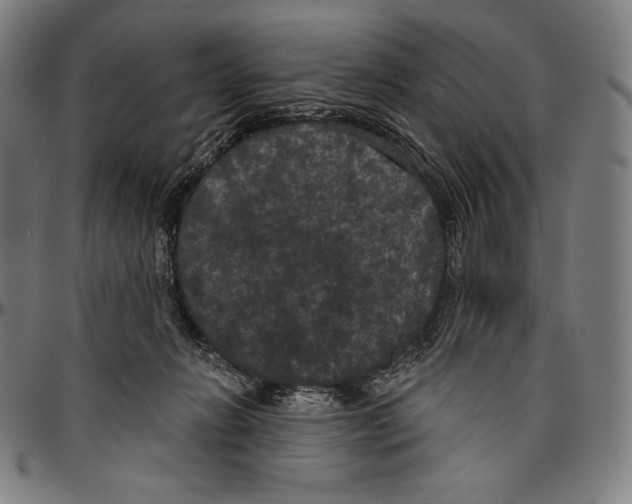 X0000096490270200802211245