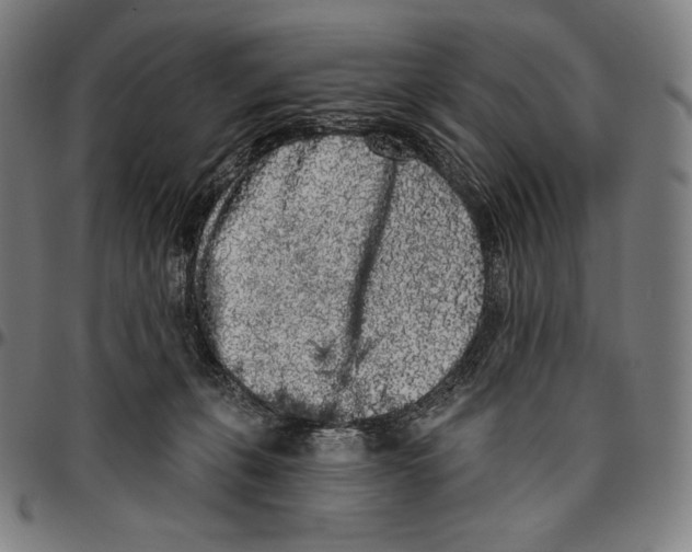 X0000096490271200802211245