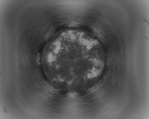 X0000096490273200802211245