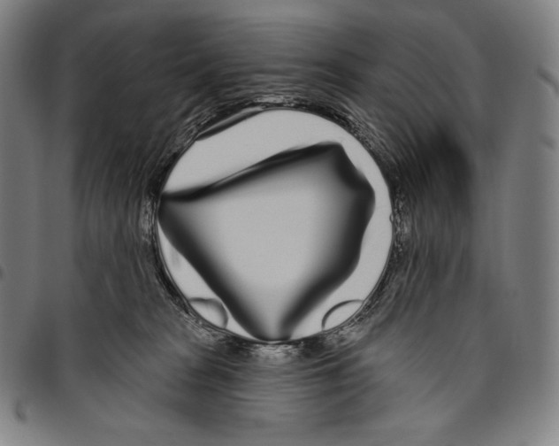 X0000096490277200802211245