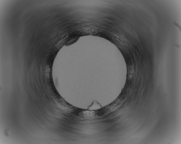 X0000096490279200802211245