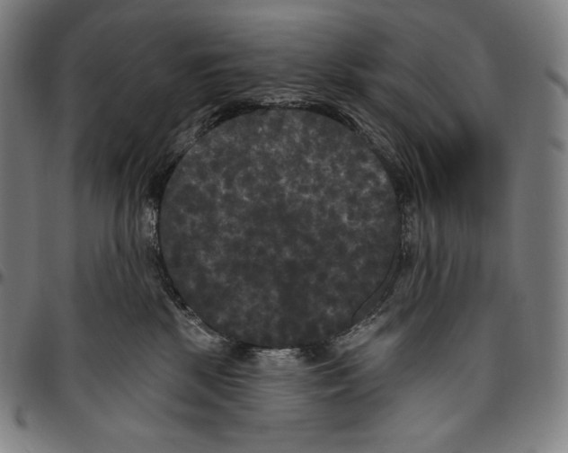 X0000096490281200802211245