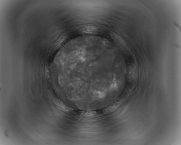 X0000096490282200802211245