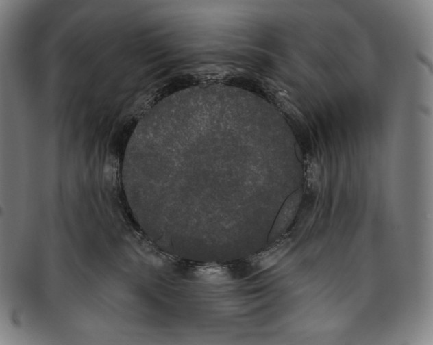 X0000096490283200802211245