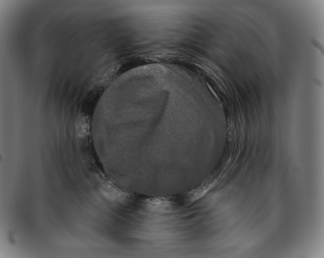 X0000096490284200802211245