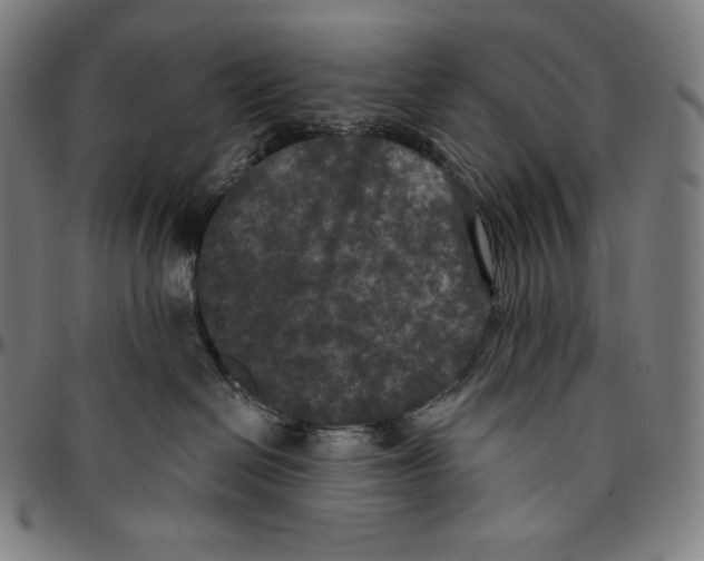 X0000096490286200802211245