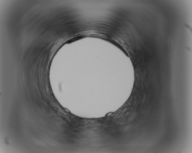 X0000096490289200802211244