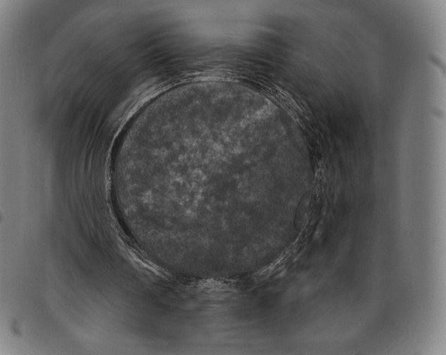 X0000096490290200802211244