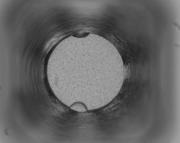 X0000096490291200802211244