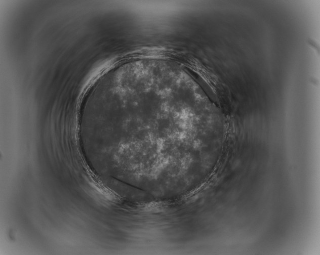 X0000096490293200802211244