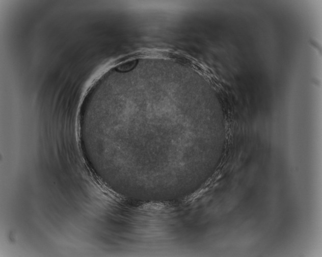 X0000096490294200802211244