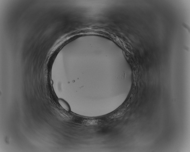 X0000096490295200802211244