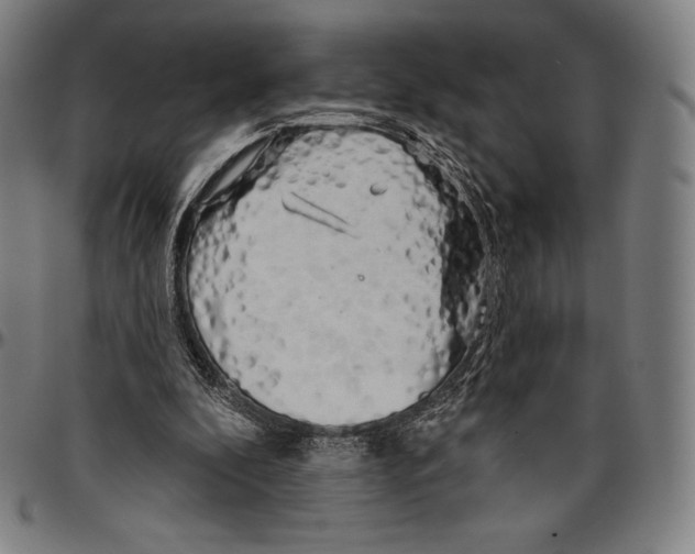 X0000096490296200802211244