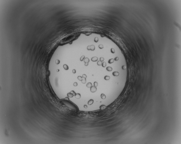 X0000096490297200802211244