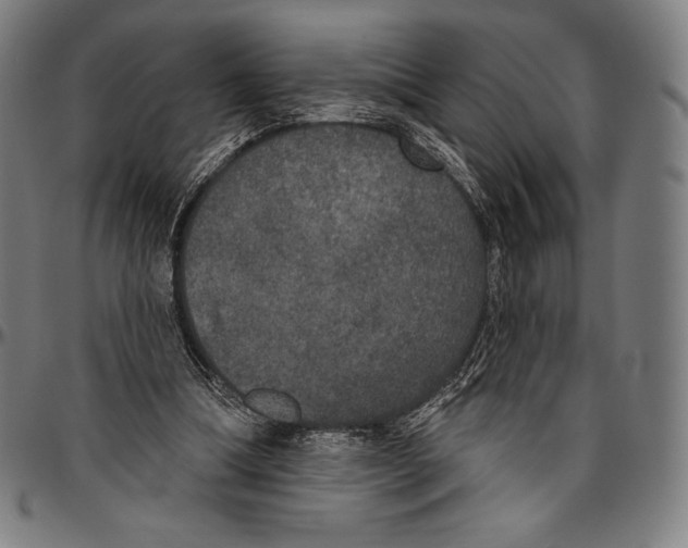 X0000096490298200802211244