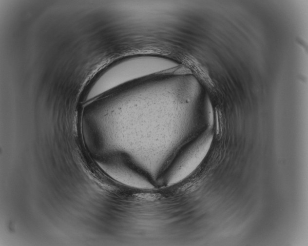 X0000096490300200802211244