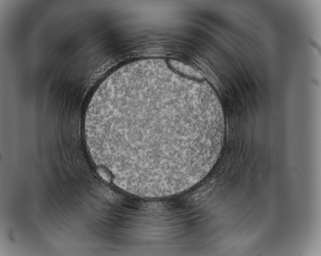 X0000096490301200802211244